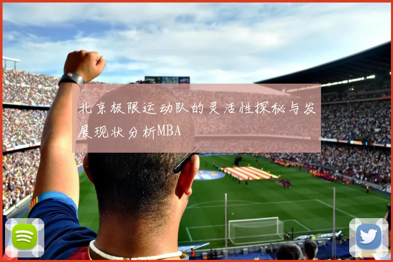 北京极限运动队的灵活性探秘与发展现状分析MBA
