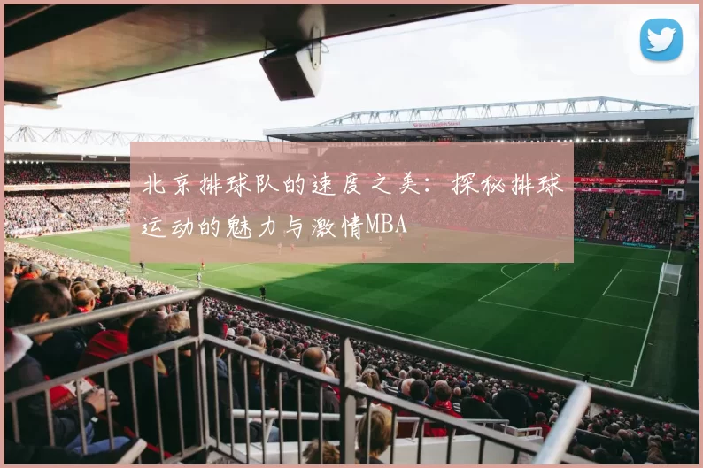 北京排球队的速度之美：探秘排球运动的魅力与激情MBA