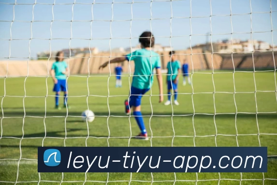 leyu乐鱼体育app下载APP 封面图