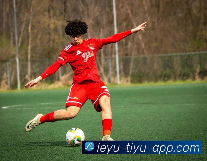 leyu乐鱼体育app下载全站App